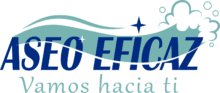 Aseo Eficaz ◦ Tienda de productos de limpieza y cuidado automotriz ◦ Servicios de lavado de tapiz Detailing y Hogar ◦ Capacitación