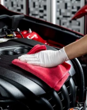 limpieza detailing motor - aseoeficaz